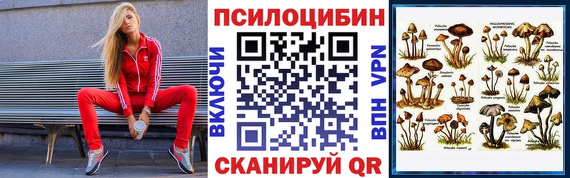 Псилоцибиновые грибы Psilocybe  Энем 