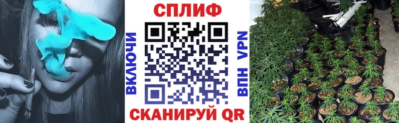 Каннабис VHQ  что такое   Энем 